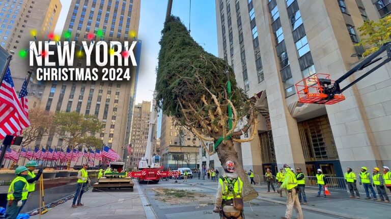 Installation Of NYC Rockefeller Center Christmas Tree 2024 ✨ New York City Christmas 2024 🌲